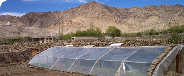 Solar greenhouse Ladakh, India